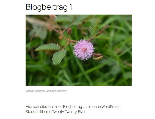 Abbildung: Twenty Twenty-Five für einen Blog